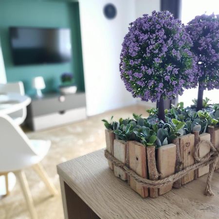 Apartament Karpaty Krynica-Zdrój Kültér fotó