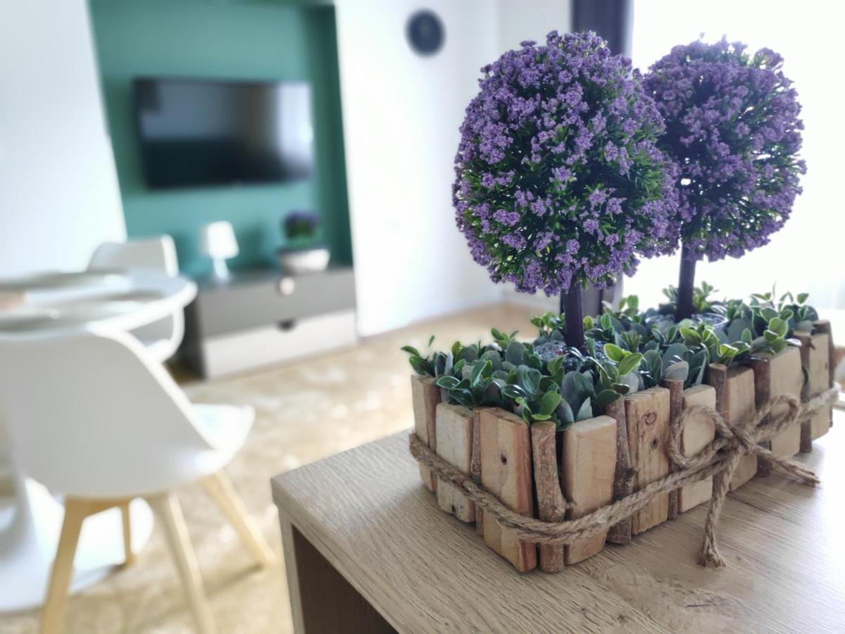 Apartament Karpaty Krynica-Zdrój Kültér fotó